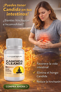 CANDIDA CLEANSE
