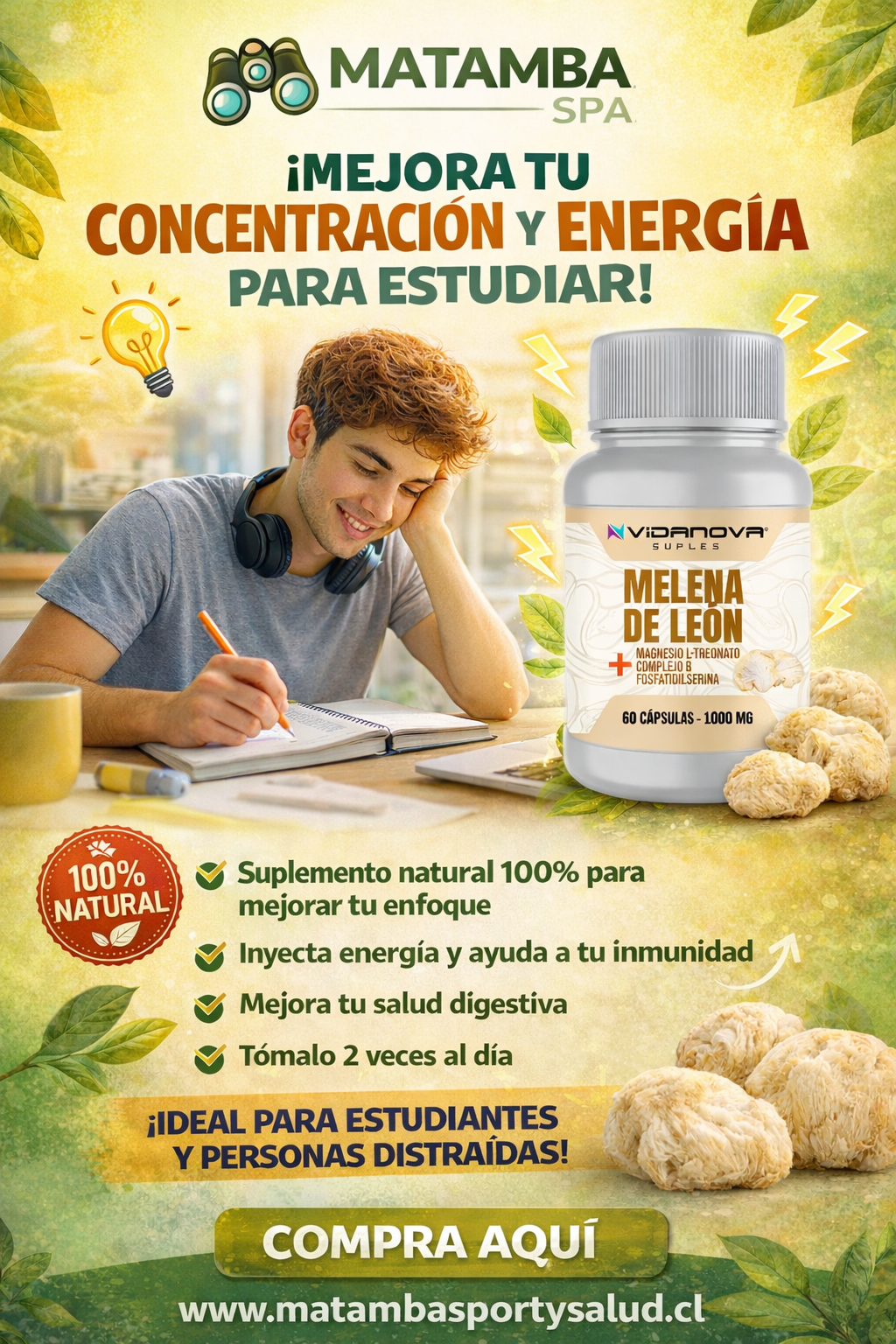 MELENA DE LEON FORTIFICADA